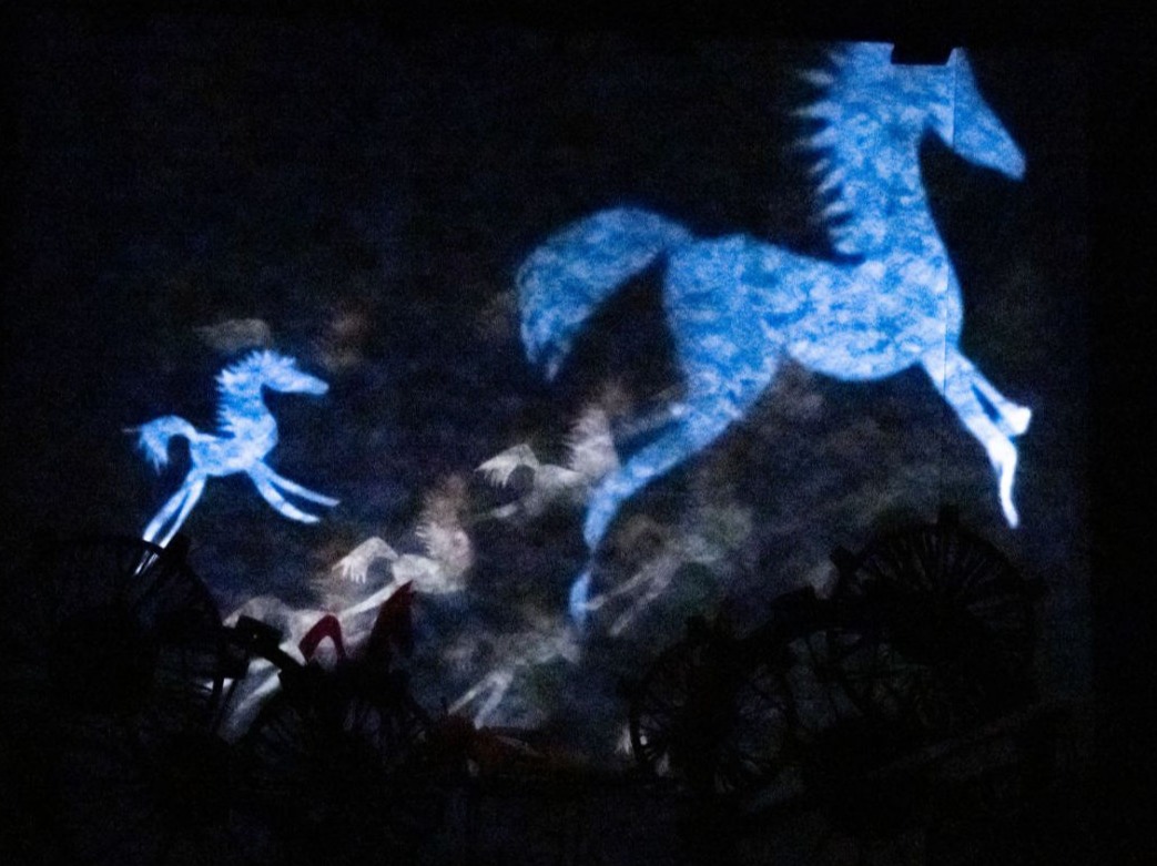 Wild Horses (SPT-Targovishte)